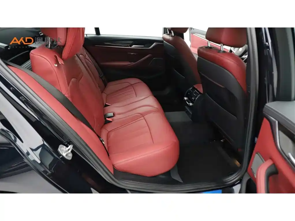 BMW 5 Series 5 2020 530Li Premium M Sport