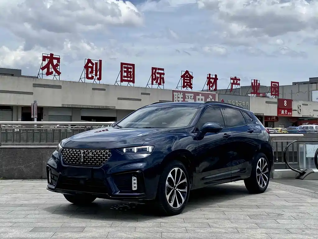 WEI PAI WEI BRAND VV7