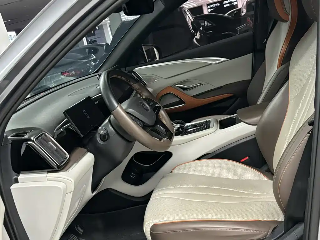 BYD Pro New Energy — миниатюра 4