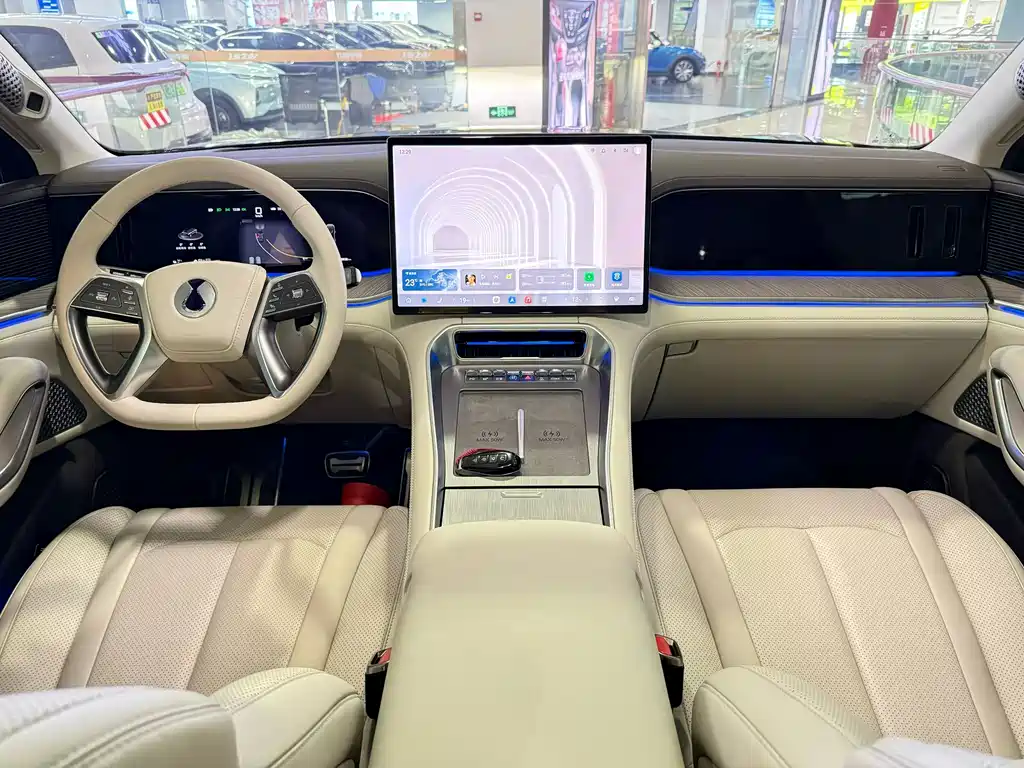 Denza N9