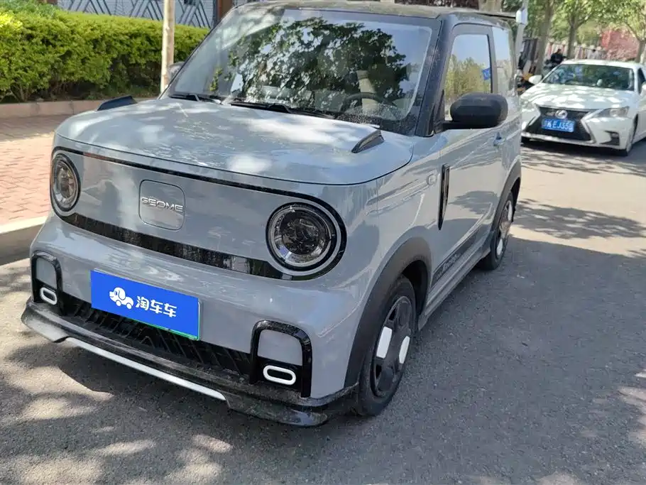 Galaxy Panda 2024