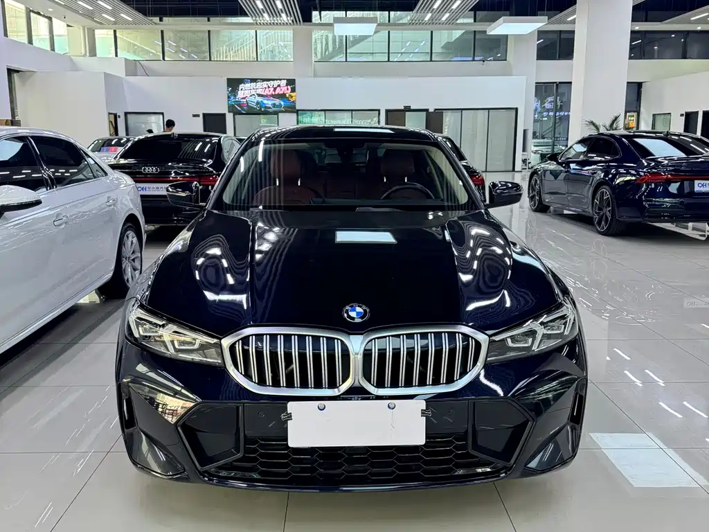BMW 3 Series — миниатюра 2