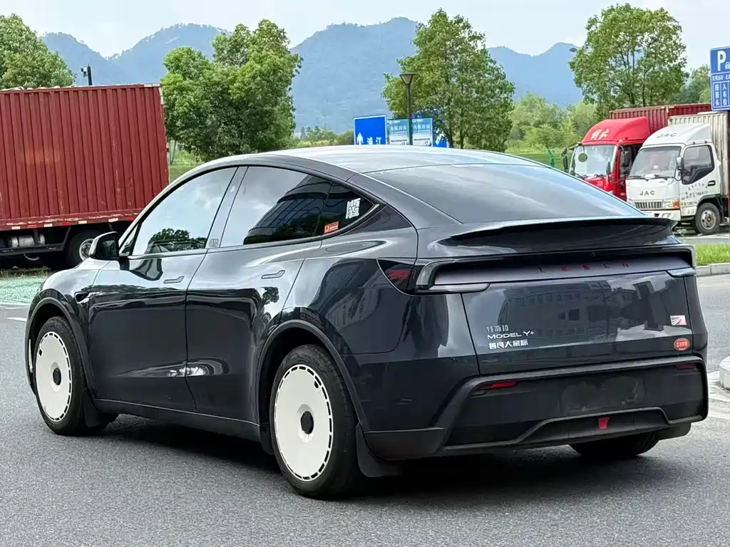 Tesla Model Y — миниатюра 8
