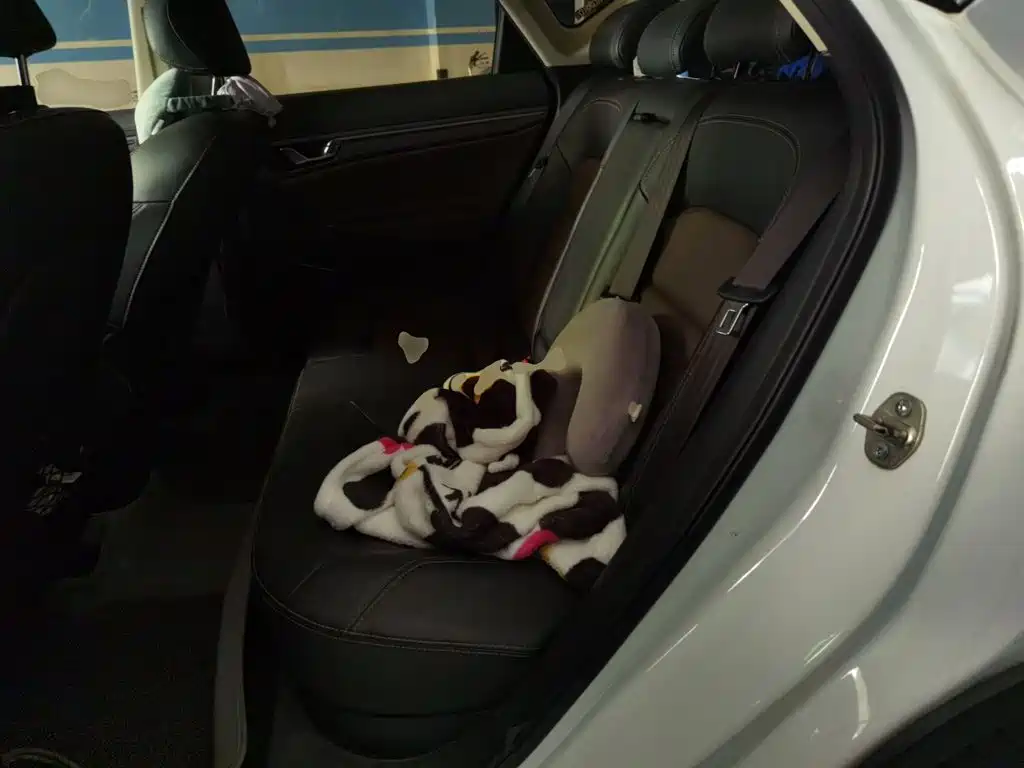 Geely Emgrand GS — миниатюра 18