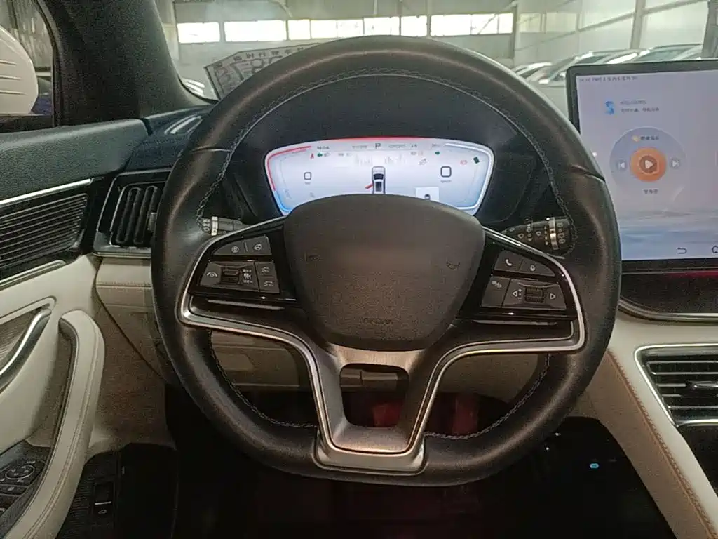 BYD PLUS New Energy — миниатюра 11
