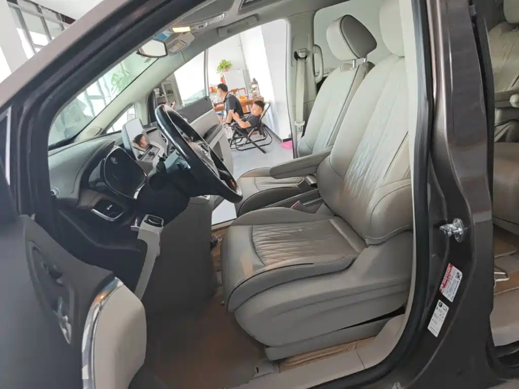 Buick GL8 — миниатюра 15
