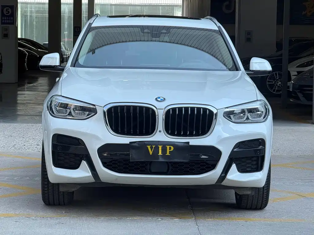 BMW X3 — миниатюра 2