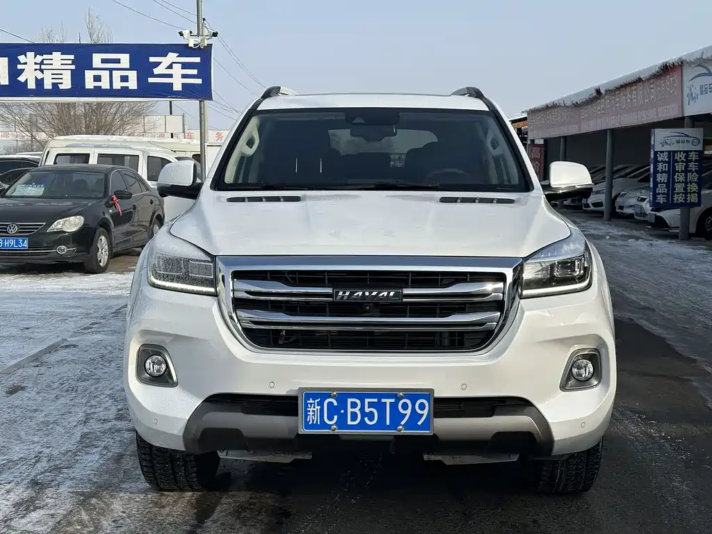 HAVAL H9