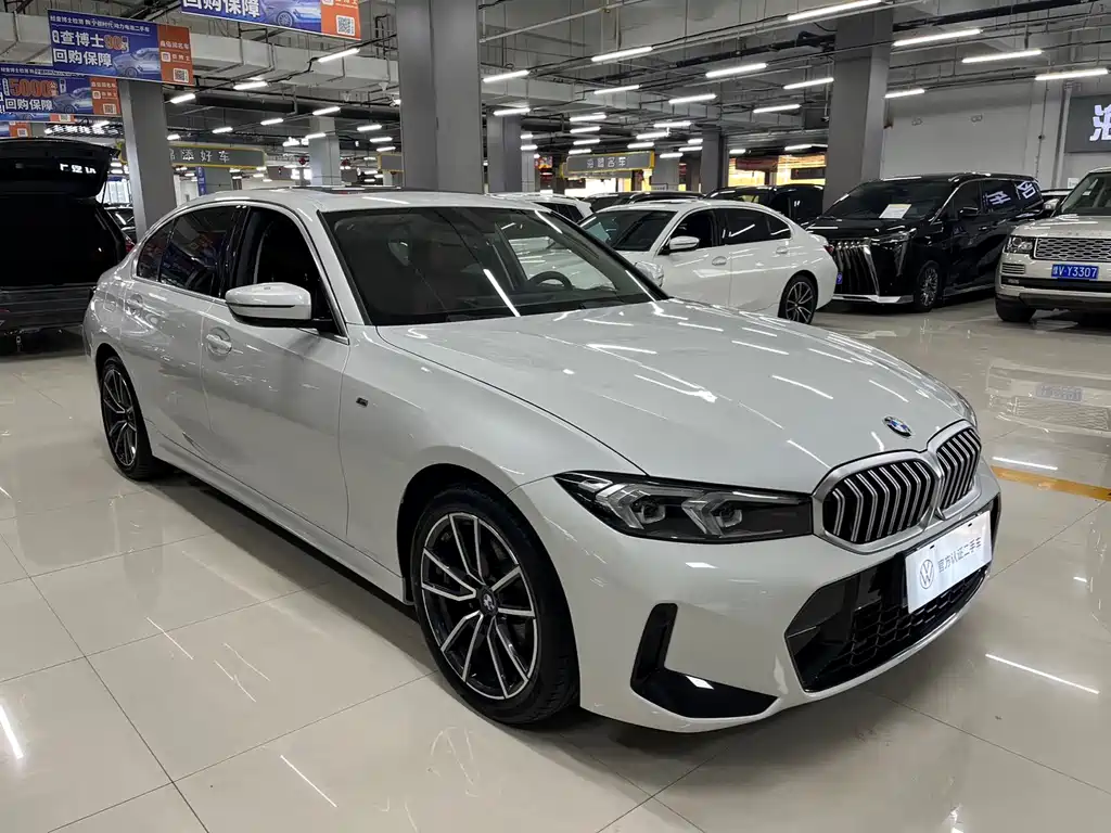 BMW 3 Series 320Li M Sport Package, фото 3