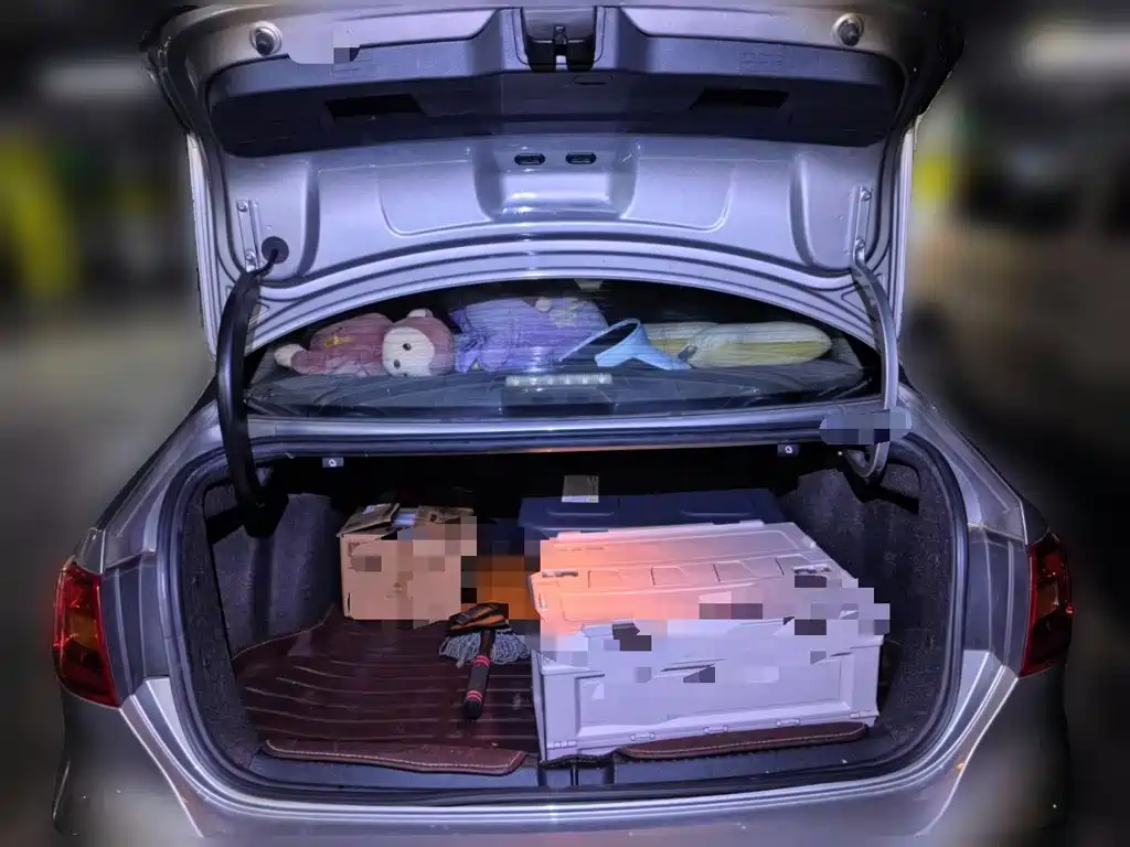 Volkswagen Sagitar — миниатюра 15