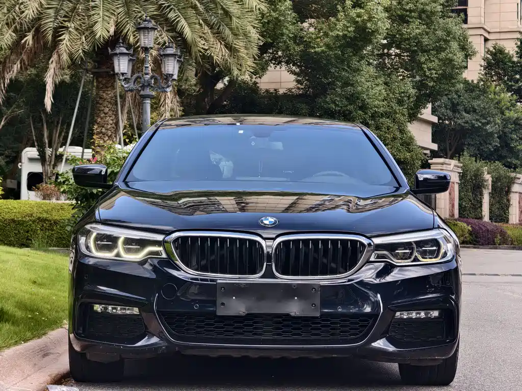 BMW 5 Series — миниатюра 2