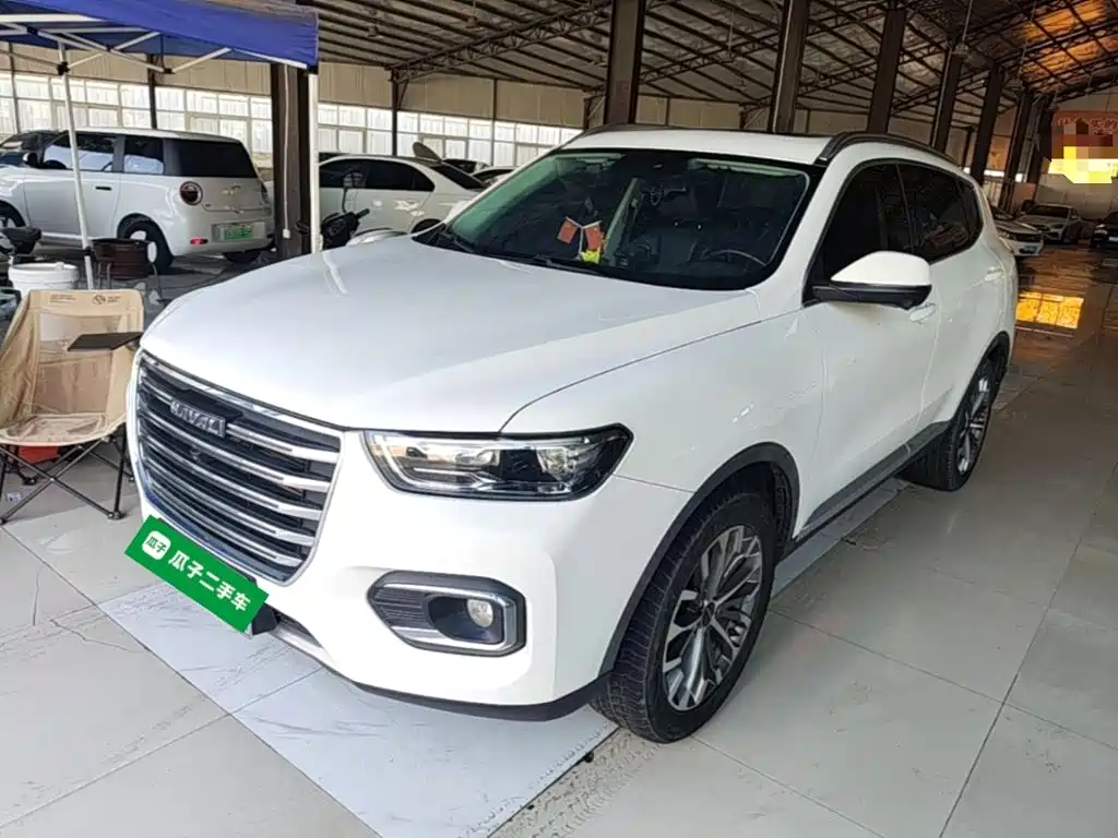Haval H6 — миниатюра 2