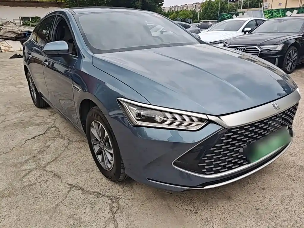 BYD Qin Plus PLUS 2024 DM-i 55KM Lead