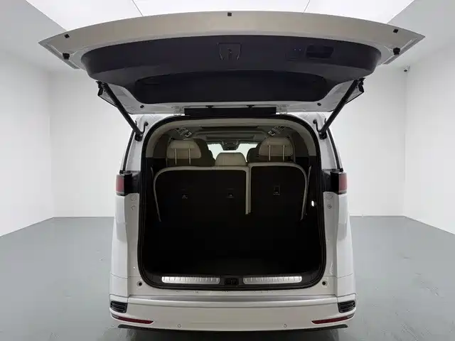 Denza Denza D9 — миниатюра 16