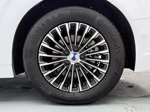 Denza Denza D9 — миниатюра 19