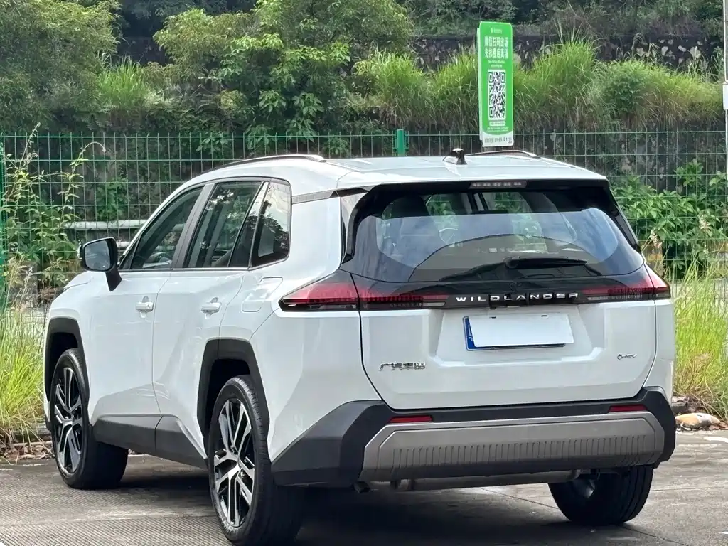Toyota Wildlander — миниатюра 18