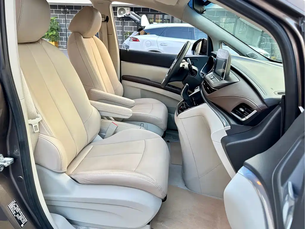 Buick GL8 — миниатюра 15