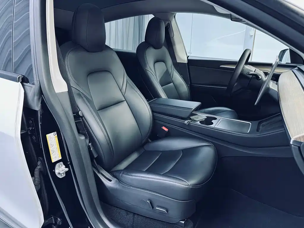Tesla Model Y — миниатюра 11
