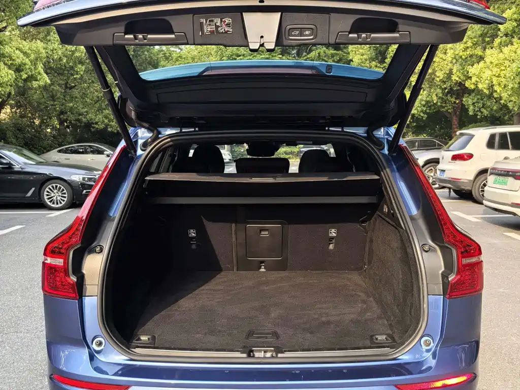 Volvo XC60 2019 T8 E Luxury VI