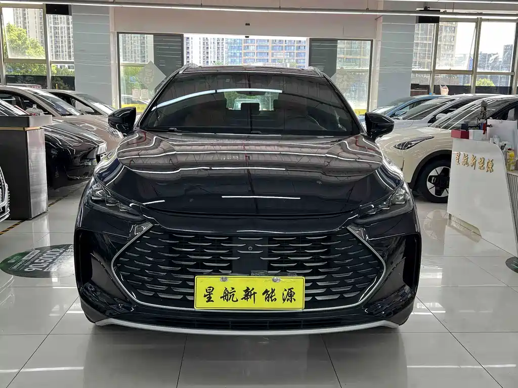 BYD Tang New Energy — миниатюра 2