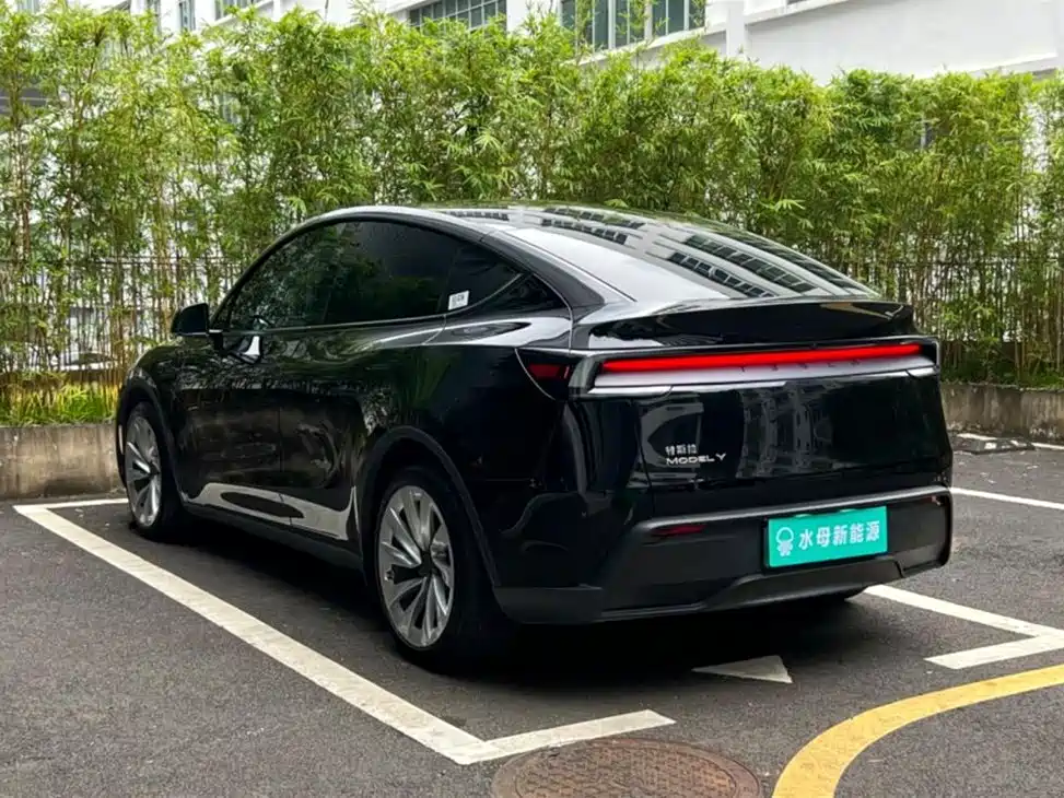 Tesla Model Y — миниатюра 6