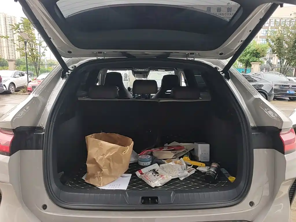 BYD PLUS New Energy — миниатюра 19