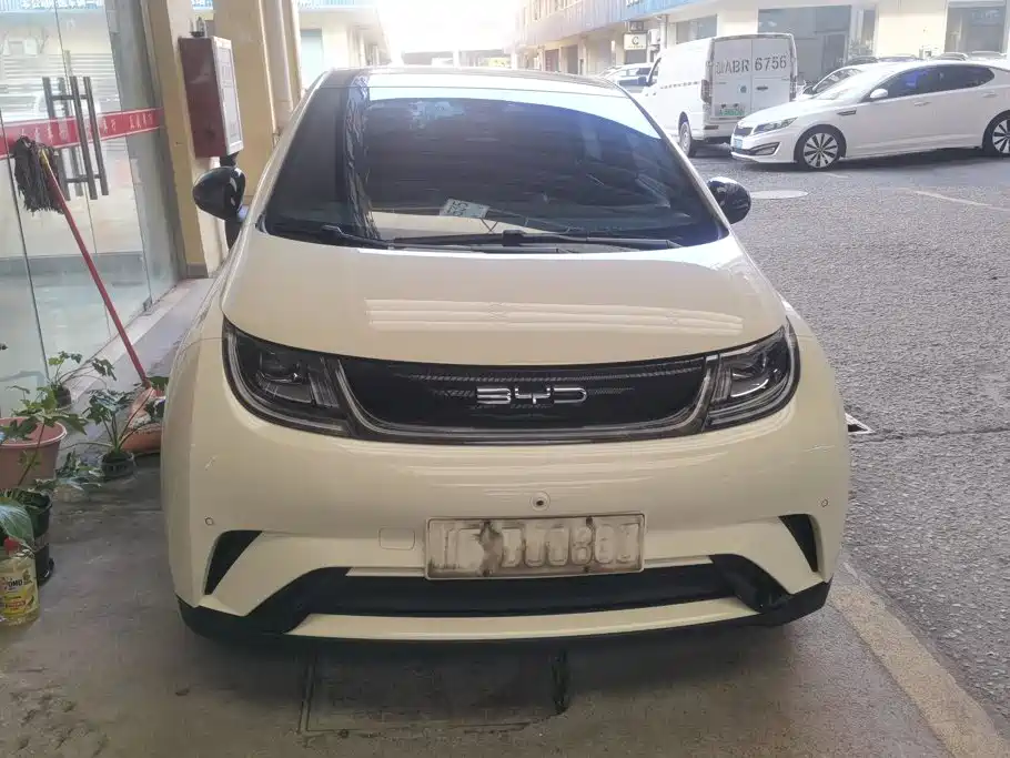 BYD Dolphin — миниатюра 2