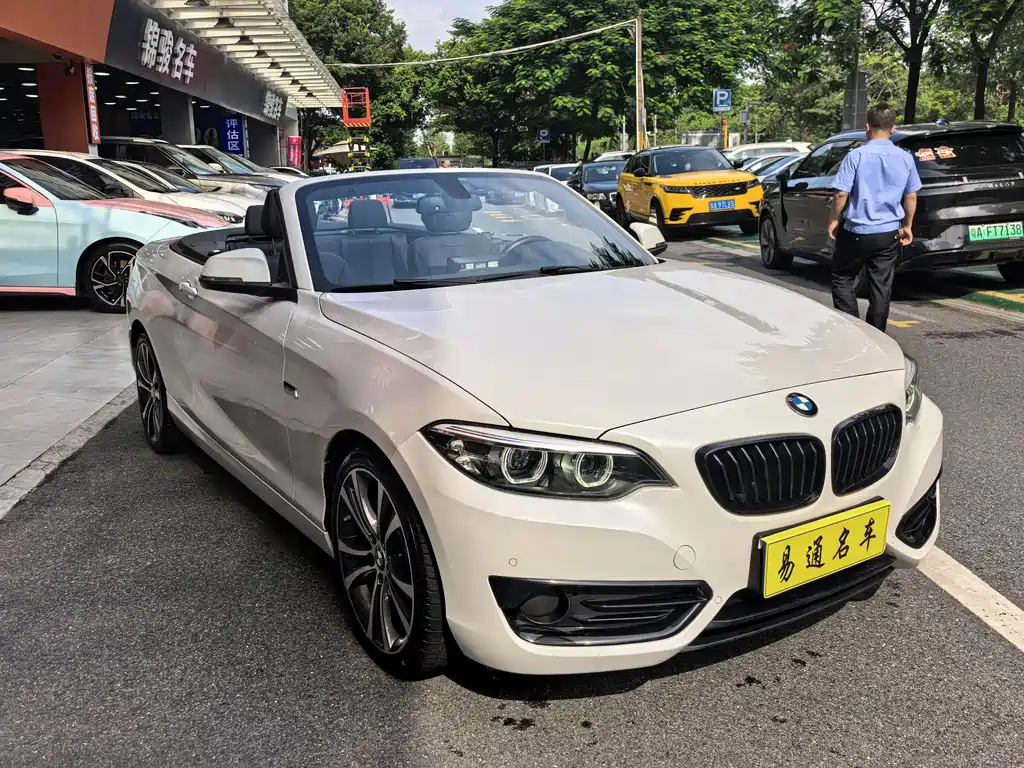 BMW 2 Series (Import) 225i Convertible Coupe Sport Design Package, фото 4