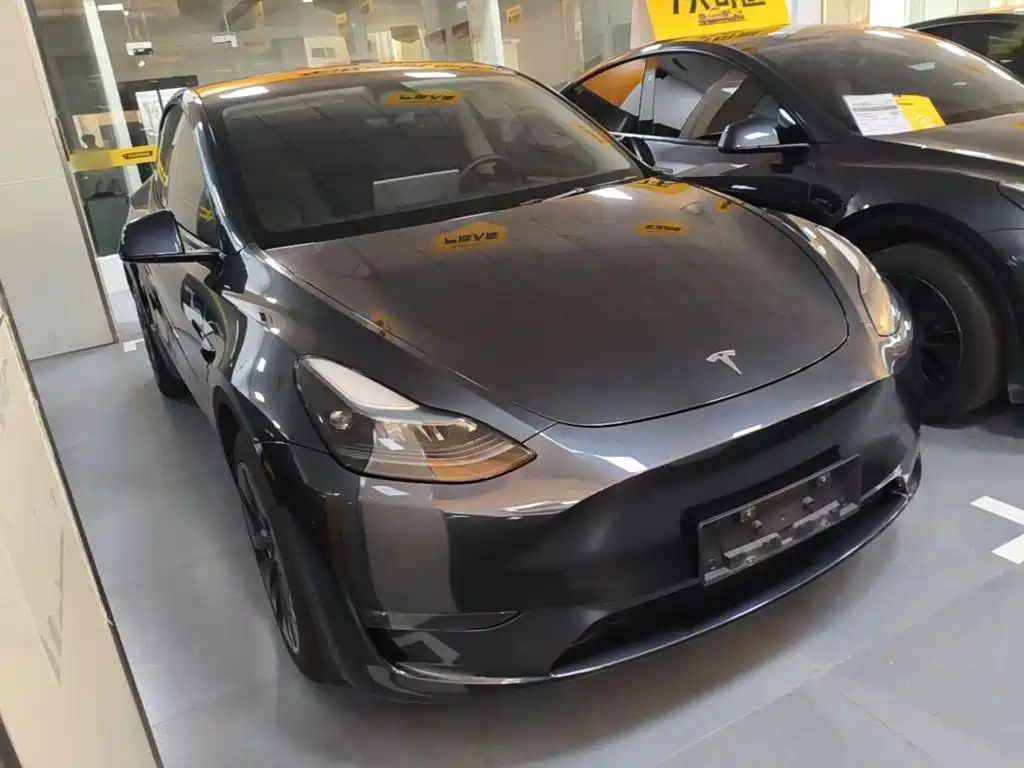 Tesla Model Y — миниатюра 4