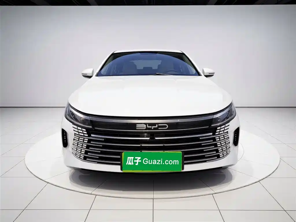 BYD Destroyer 05 2024 DM-i 55KM Luxury