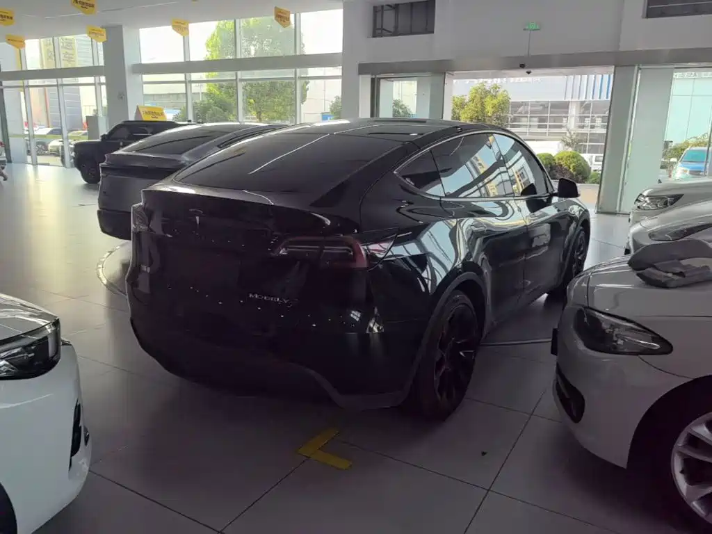 Tesla Model Y — миниатюра 7