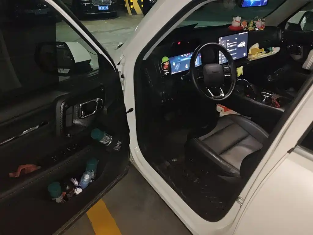 Haval Big Dog PLUS New Energy — миниатюра 17