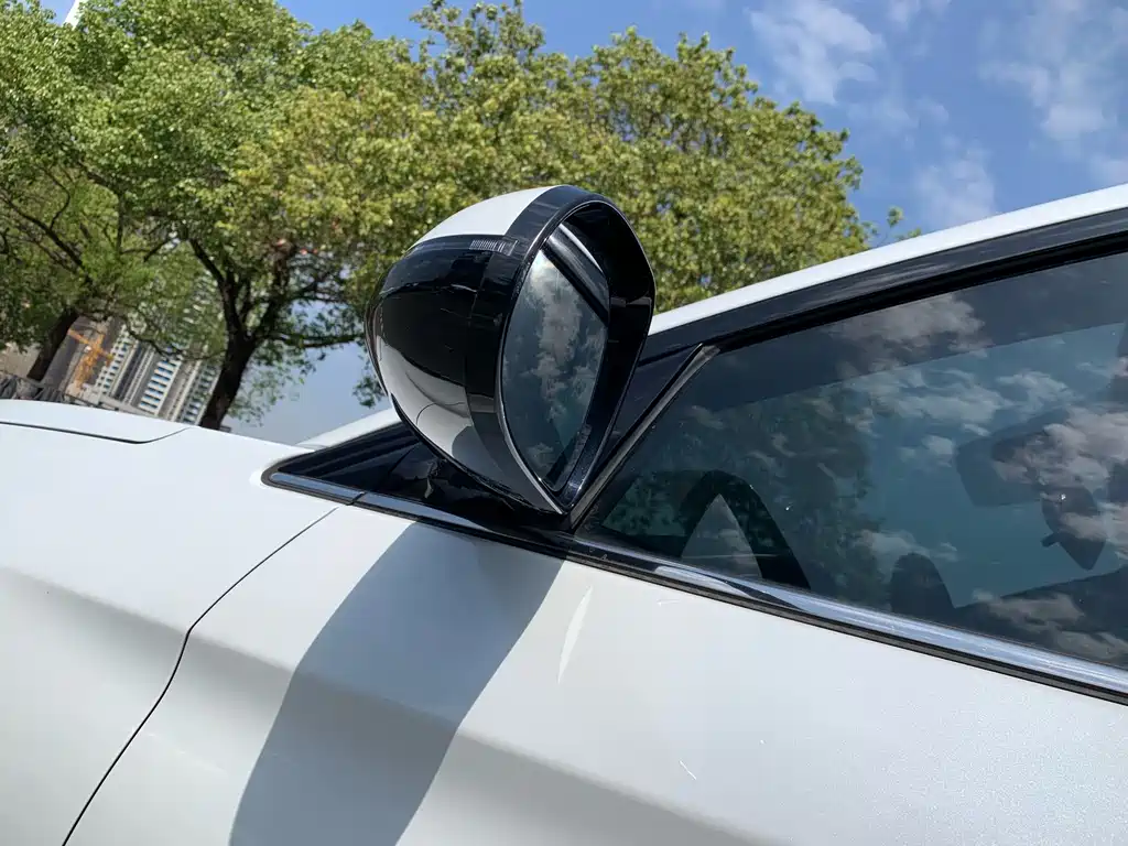 DONGFENG SCENERY 500