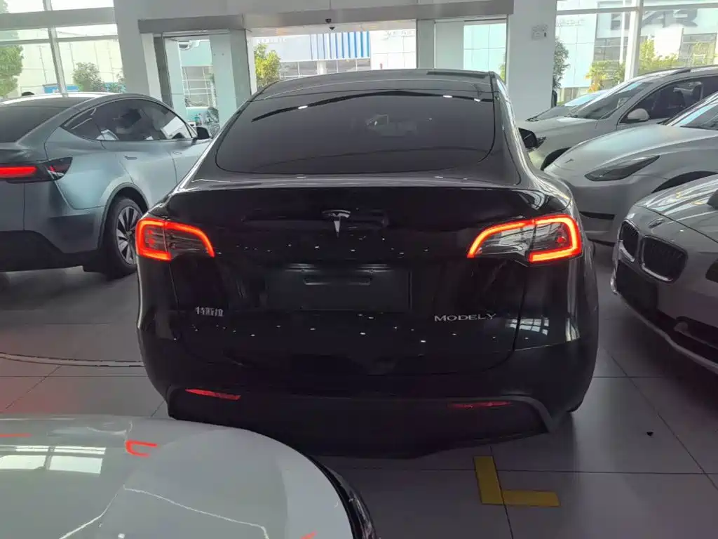 Tesla Model Y — миниатюра 6