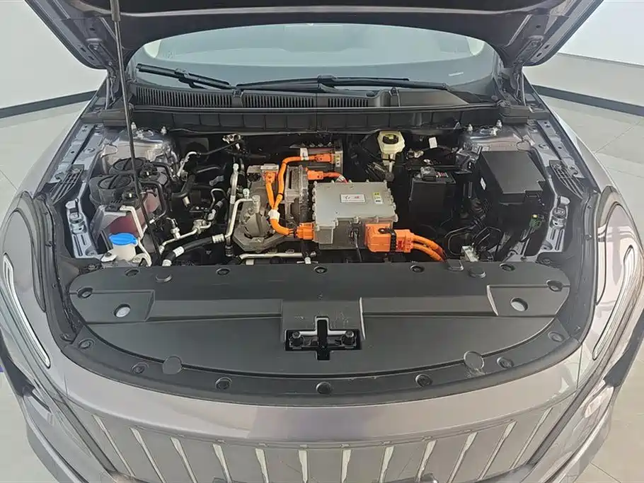 Hongqi E-QM5 2023 560km PLUS