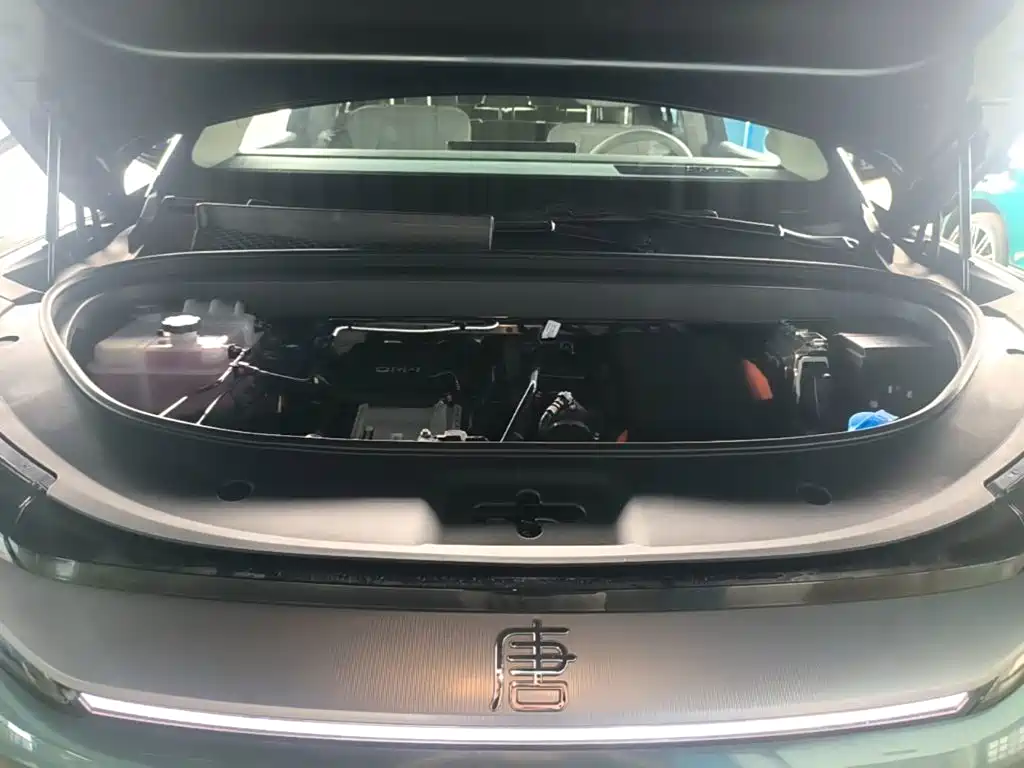 BYD Tang L - фото 20