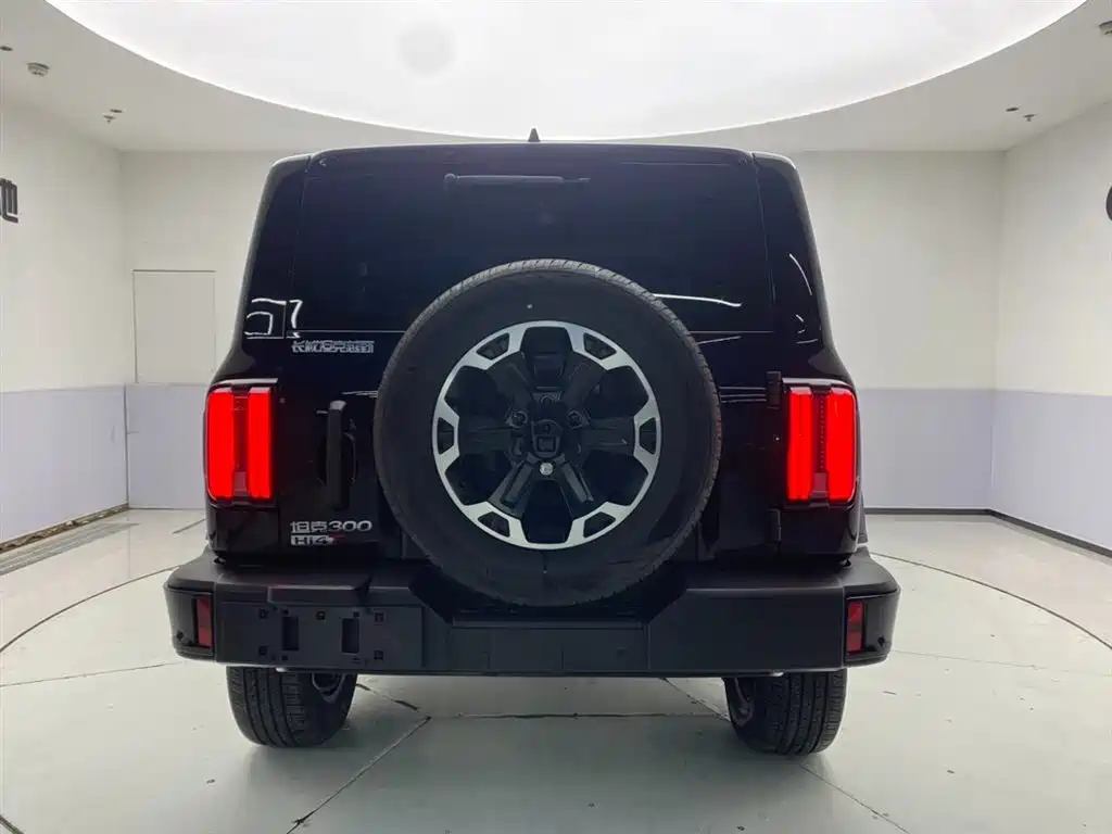 TANK TANK 300 NEW ENERGY