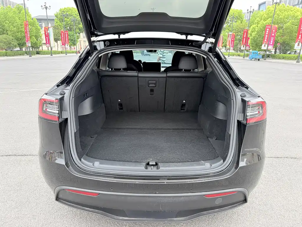 Tesla Model Y — миниатюра 14