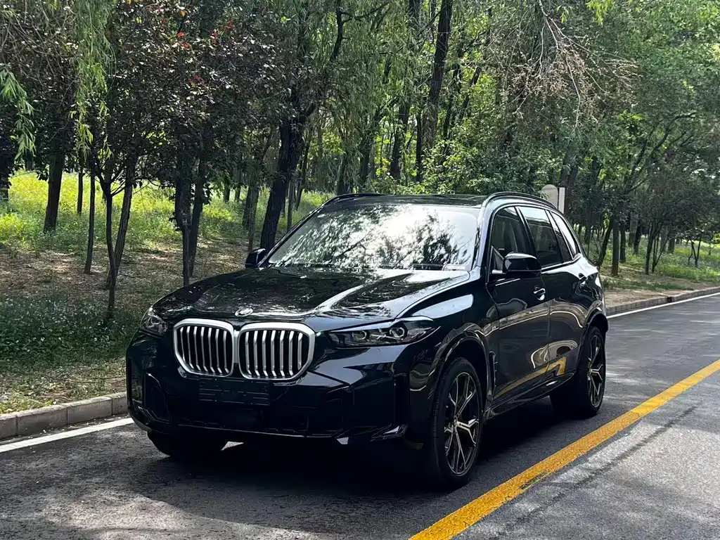 BMW X5 2026 xDrive 30Li Premium M Sport