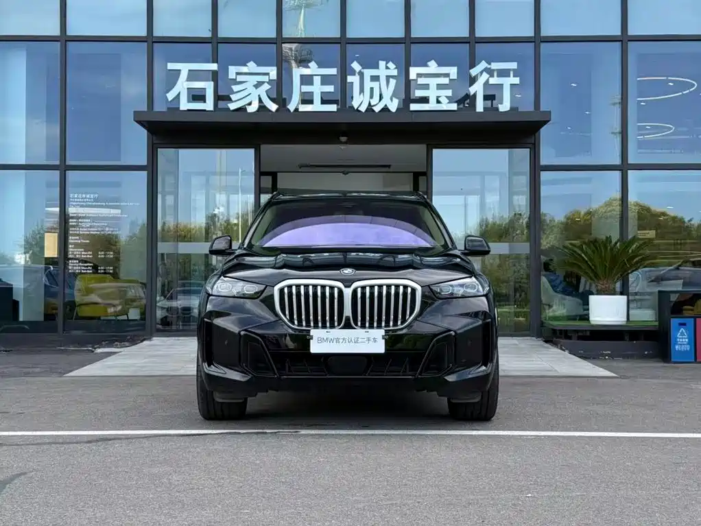 BMW X5 — миниатюра 3