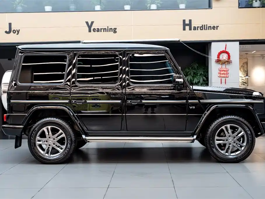 Mercedes-Benz G-Class G 2010 G 500