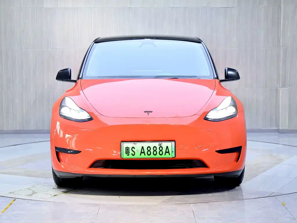 Tesla Model Y — миниатюра 2