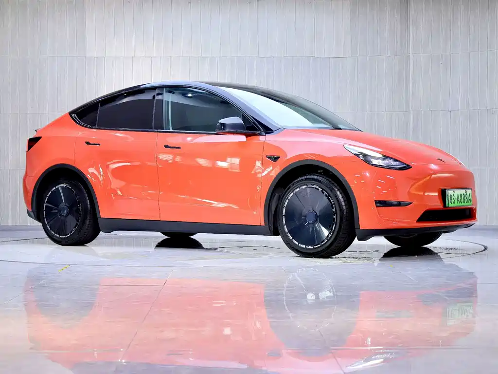Tesla Model Y — миниатюра 6