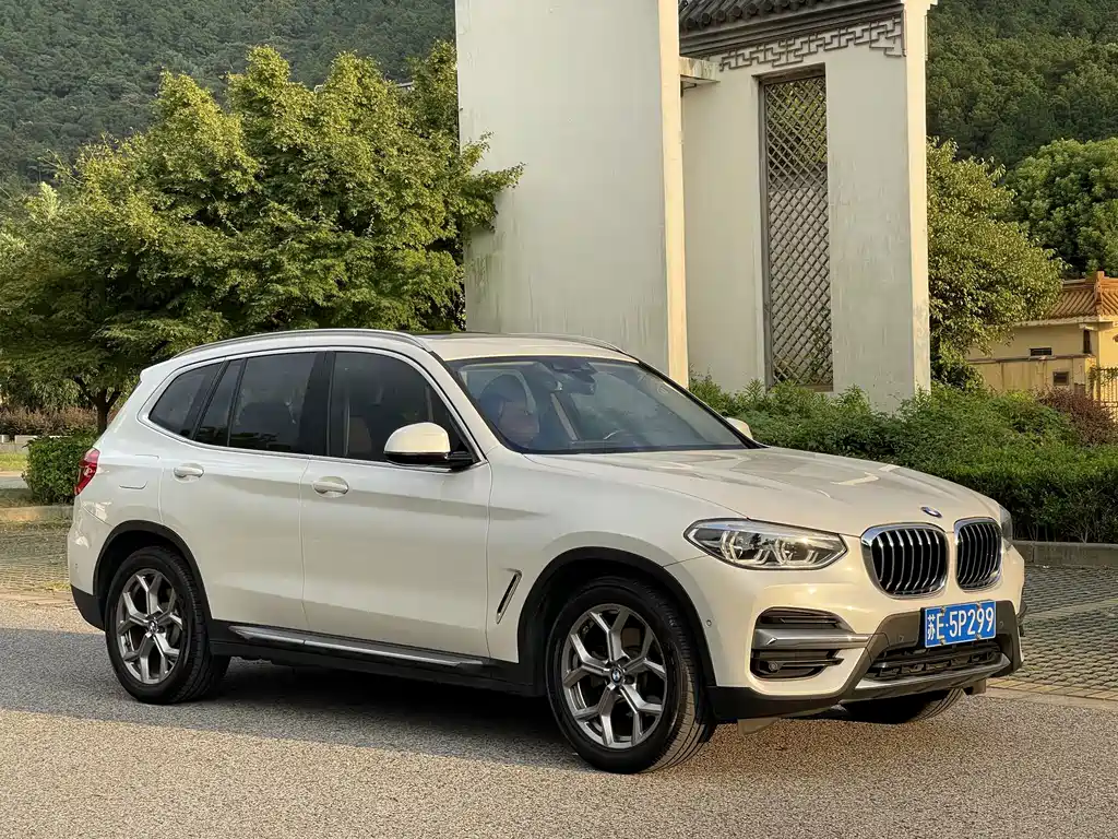 BMW X3 — миниатюра 5