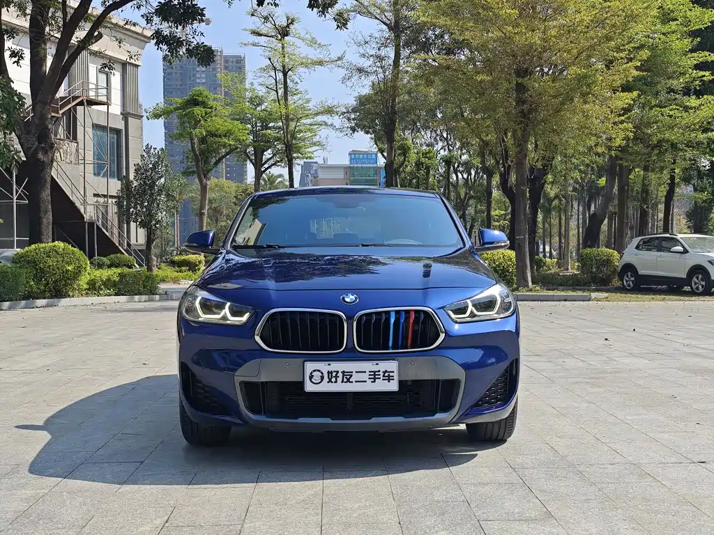 BMW X2 sDrive25i Leading Type M Offroad Package, фото 2