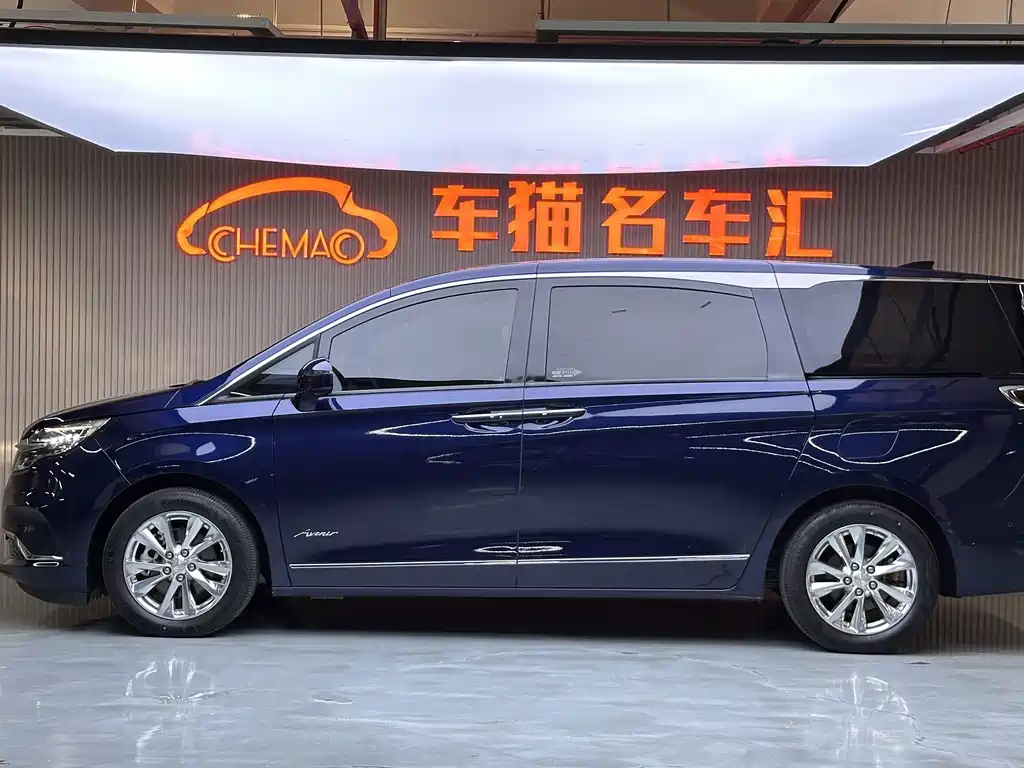 Buick GL8 — миниатюра 19