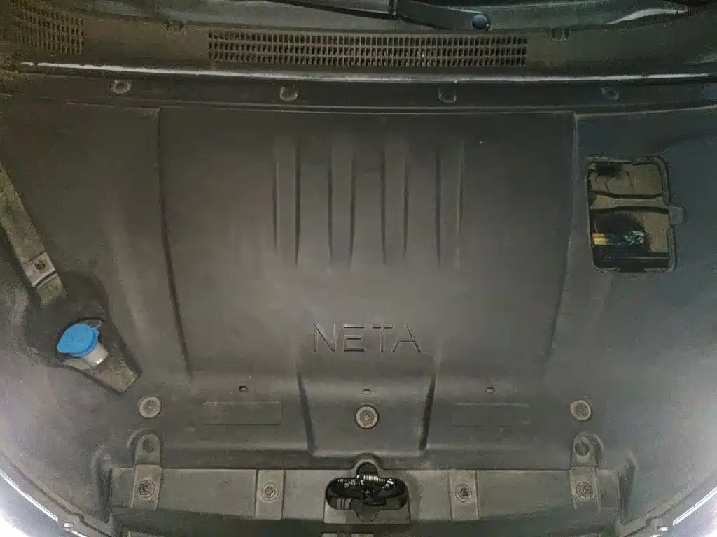 Neta Neta V — миниатюра 11