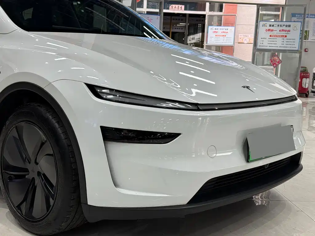 Tesla Model Y — миниатюра 6