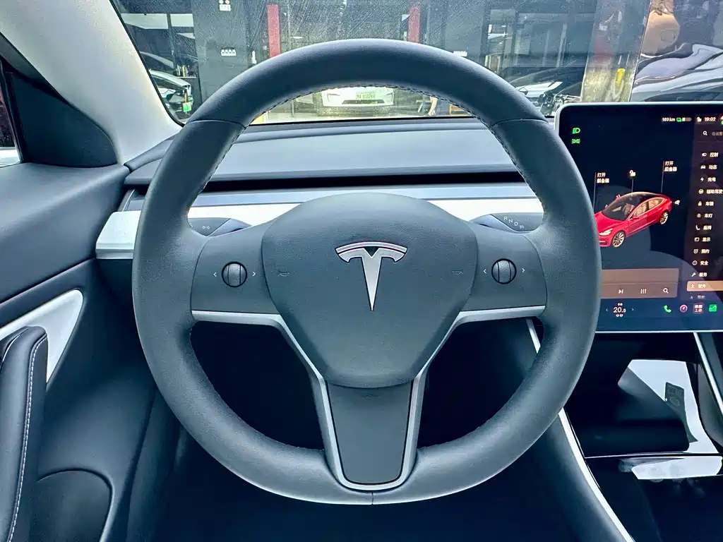 Tesla Model 3 — миниатюра 13