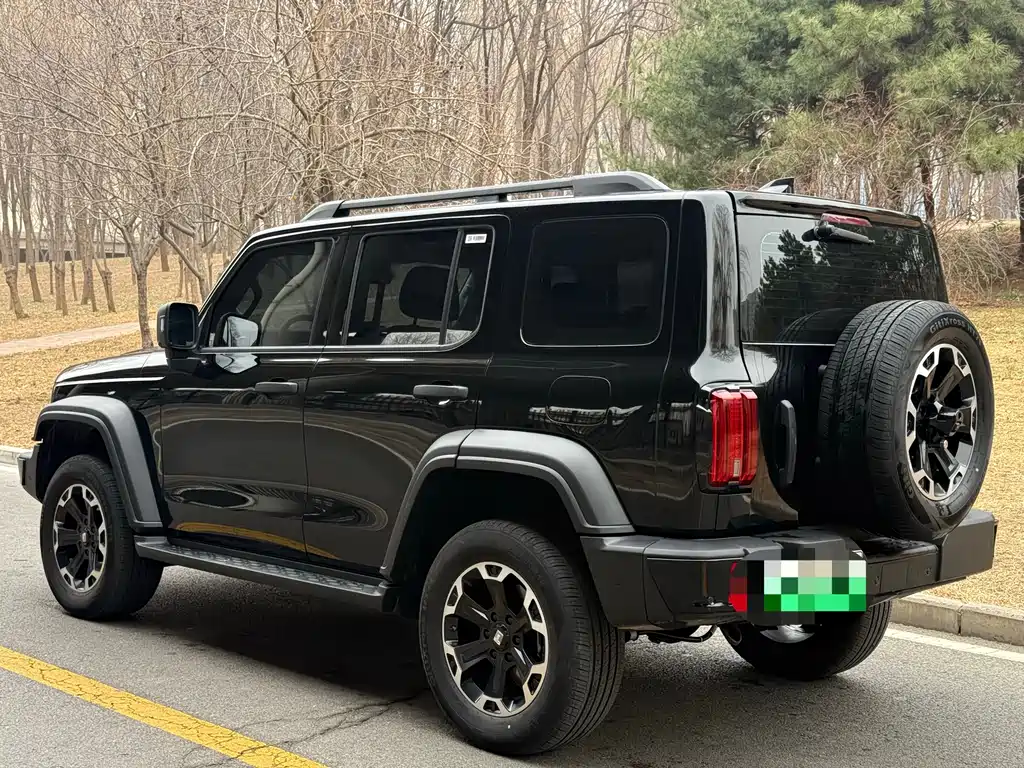 TANK TANK 300 NEW ENERGY